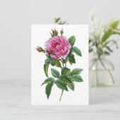 Roze vintage roos kaart (Staand voorkant)