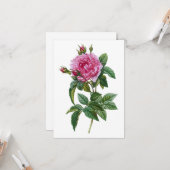 Roze vintage roos kaart (Voorkant / Achterkant in situ)