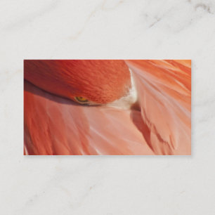 Roze Visitekaartje van de Closeup van Flamingo