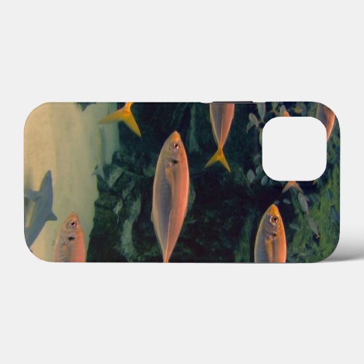 Roze visshow  Case-Mate iPhone case (Achterkant (horizontaal))