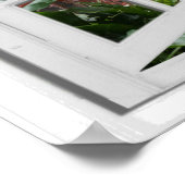 Roze vlamingos Fake Window Uitzicht Poster (Hoek)