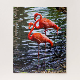 Roze vlamingos in water legpuzzel