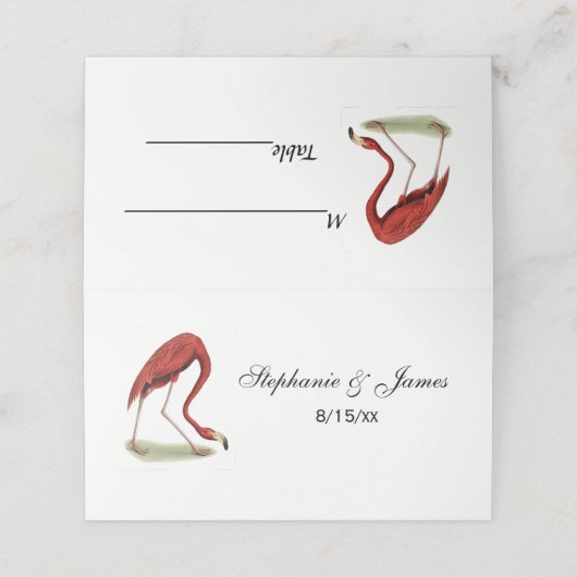 roze vlamJong #1 (Buitenkant ongevouwen)