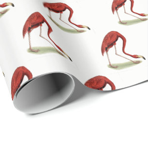 roze vlamJong #1 Cadeaupapier
