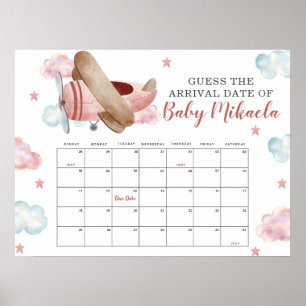 Roze Vliegtuig Baby Shower Raad Baby Verwachte Dat Poster