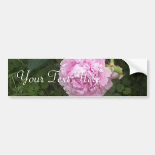 Roze volken bumpersticker