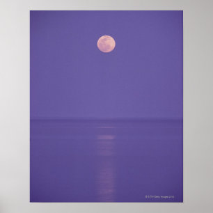 Roze volle maan poster