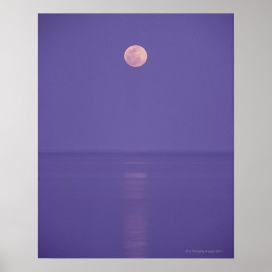 Roze volle maan poster (Voorkant)