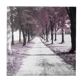 roze voorruitplaats tegeltje