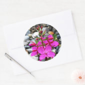 Roze Vuurbloem in Canada Ronde Sticker (Envelop)