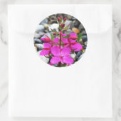 Roze Vuurbloem in Canada Ronde Sticker (Tas)