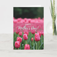 Roze waas Tulp Lente Kaart