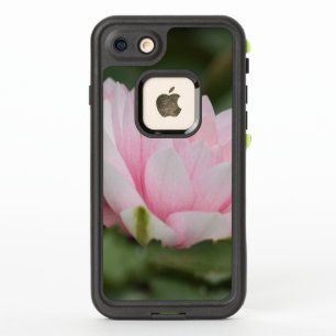 Roze Water Lily