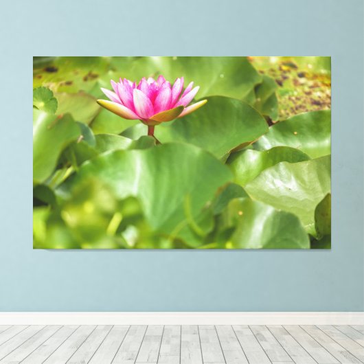 Roze Water Lily Canvas Afdruk (Insitu (Houten vloer))