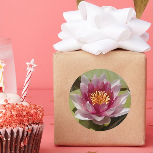 Roze Water Lily Ronde Sticker (Feest)