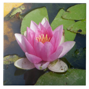 Roze water Lily sluit keramische tegels af Tegeltje