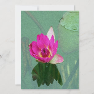 roze waterlelie bloem blanco uitnodiging