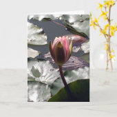 Roze Waterlelie Kaart (Gele Bloem)