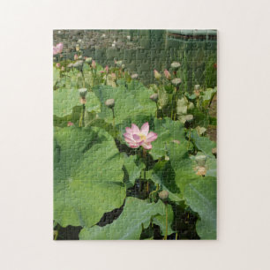 Roze Waterlelie Lotus Bloem In Een Vijver In De Zo Legpuzzel