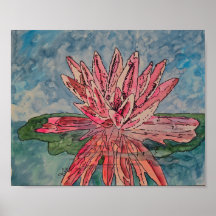 Roze Waterlelie