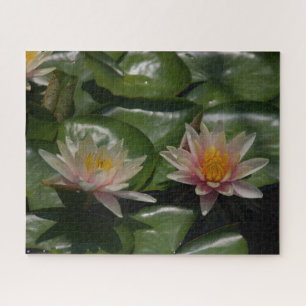 Roze Waterlilies Jigzaag Puzzle Legpuzzel