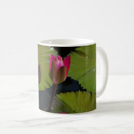 Roze waterlilies koffiemok