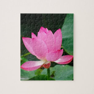 Roze waterLily in een hond Legpuzzel