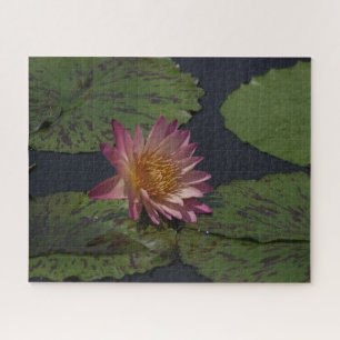 Roze Waterlily Jigzaag Puzzle Legpuzzel