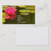 Roze waterLily op Pond Visitekaartje (Voorkant / Achterkant)