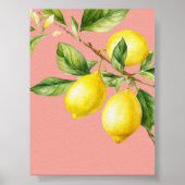 Roze Waterverf Citroenen Poster (Voorkant)