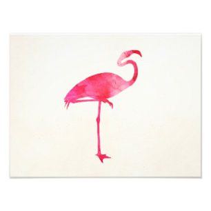 Roze Waterverf Flamingo Silhouette Florida Birds Foto Afdruk