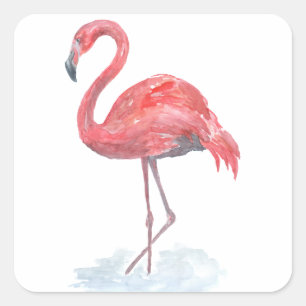 Roze waterverf Flamingo. Vierkante Sticker