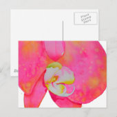 Roze waterverf schilderij briefkaart (Voorkant / Achterkant)