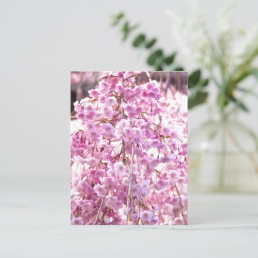 Roze weeping Willow Tree Briefkaart (Staand voorkant)
