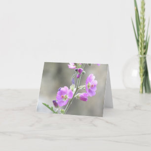 Roze Wereldbol Mallow Wildflower Kaart