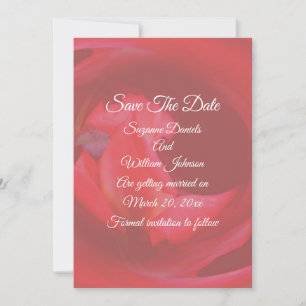Roze wervelende Roos Flower Wedding Save The Date