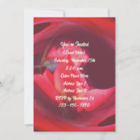 Roze wervelende Rosebud Floral Art Party
