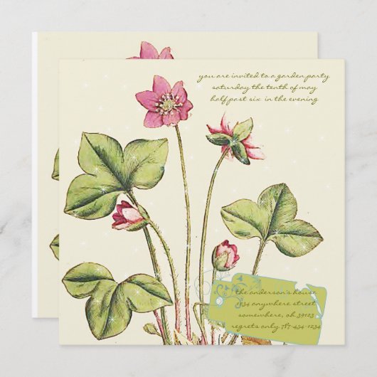 Roze Wilde Bloem Botanische Eetkaartjes Kaart (Voorkant / Achterkant)