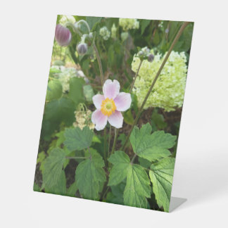 Roze Wilde Bloem Tafelbord | Botanische Bloem D Reclamebord Met Voetstuk