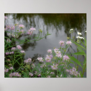 Roze wilde bloemen bij Brook Poster