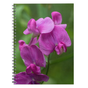 roze wilde bloemen, snoepje notitieboek