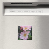 Roze Wilde Roos Bloedbloem Foto Magneet (Insitu (Vaatwasser))