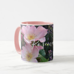 Roze Wilde Roos Bloedflora Foto Blush Roze Mok
