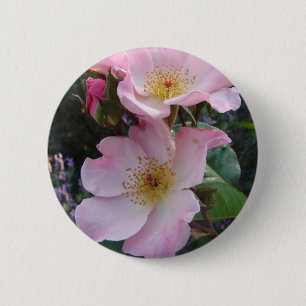 Roze wilde roos bloem bloem foto ronde button 5,7 cm