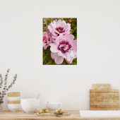 Roze Wilde Roos Rozen Bloementuin Poster (Keuken)