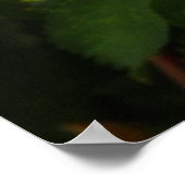 Roze Wilde Rozen Bloemen Foto Poster (Hoek)