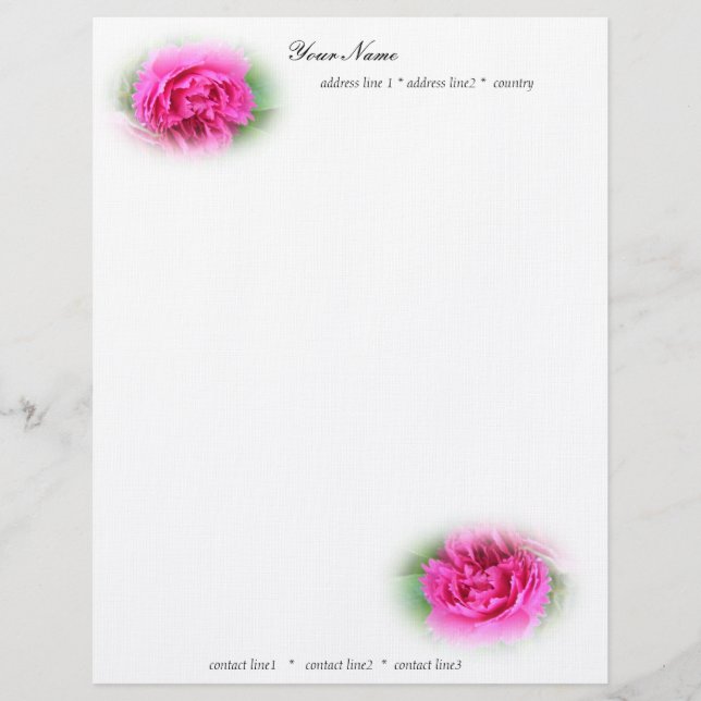 Roze wilde rozen persoonlijk briefhoofd (Voorkant)