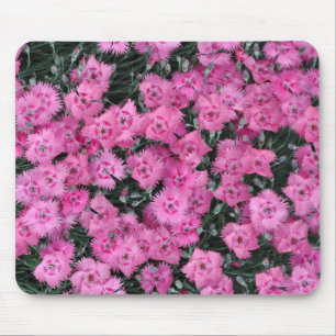 Roze william bloemen muismat