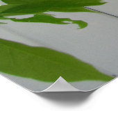 Roze Wisteria ~ print (Hoek)