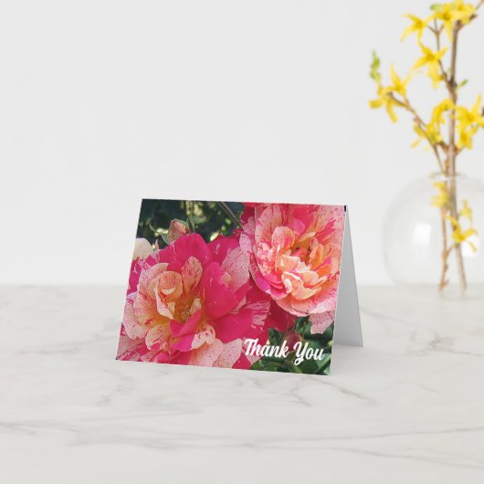 Roze Wit Gestreepte Rozen Dank u Nota Kaart (Gele Bloem)